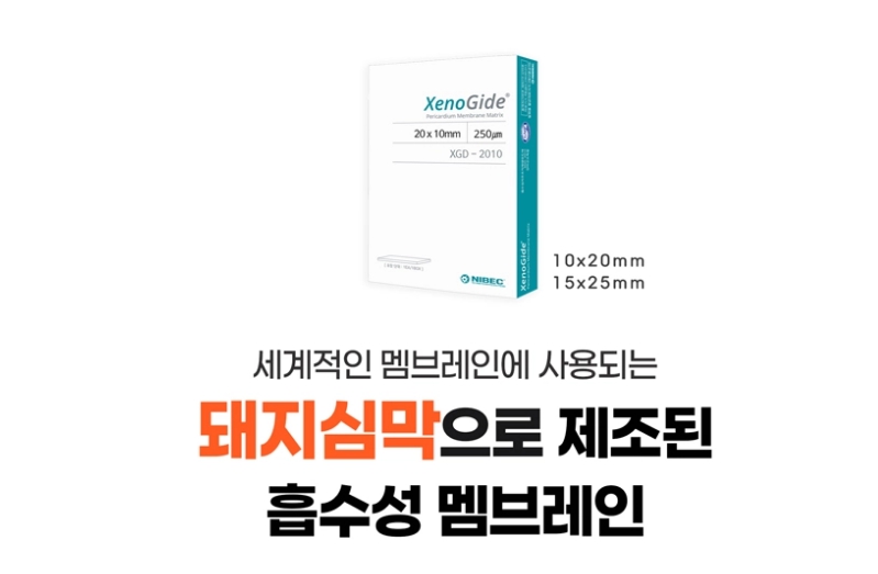 XenoGide 250㎛ 10+1