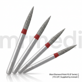 Diamond point FG (F Series)