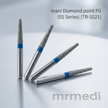 Diamond point FG (SS Series)