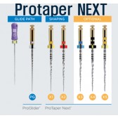 Protaper NEXT X3 07T/25mm/030(BSTPTNM325030)