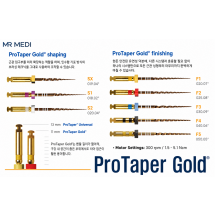 ProTaper Gold Finishing File 21mm(골드) #F2(빨강)