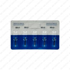 DMAX] DENTAMERICA DIA-BUR FG [D EX-21]